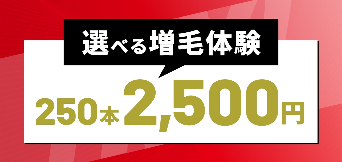 選べる増毛体験250本 2,500円【税込】
