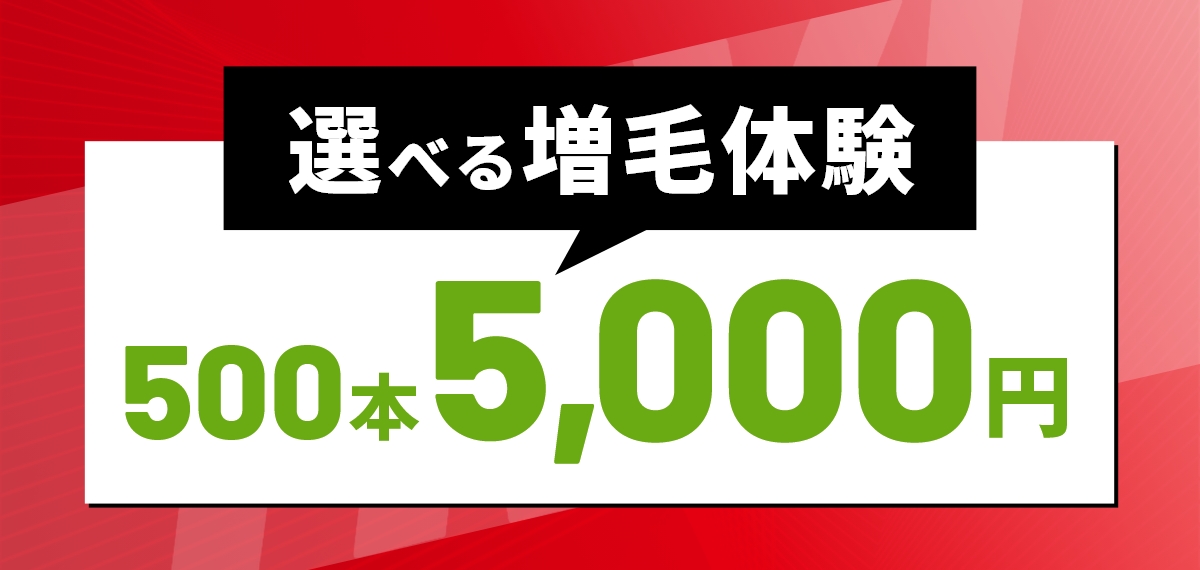 選べる増毛体験500本 5,000円【税込】
